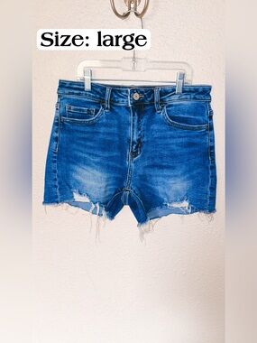 Vervet High-Rise Distressed Blue Denim Shorts - Large